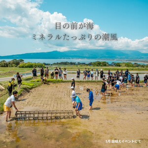 新潟県佐渡産 令和7年産 【にこまる】 白米 5kg