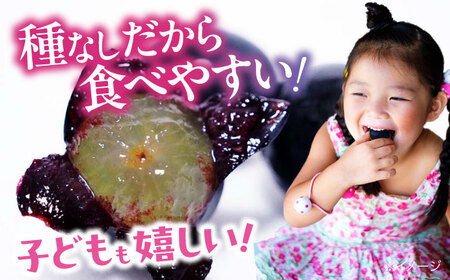 【先行予約】【2025年8月中旬から順次発送】ニューピオーネ 2kg（4から6房）愛媛県大洲市/有限会社ふじブドウ園 果物 くだもの フルーツ 葡萄 ぶどう ピオーネ[AGDB001]
