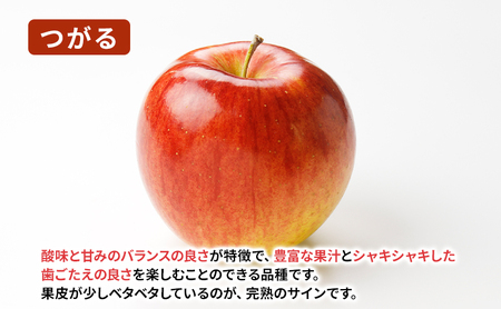 盛岡から「農で人をつなぐ」藤与果樹園：《訳アリ》つがる3kg  訳アリ 不揃い 傷 規格外 フルーツ 果物 旬のフルーツ 旬の果物 旬 冬 岩手 盛岡 産地直送 玉数指定不可 詰め合わせ 岩手 盛岡