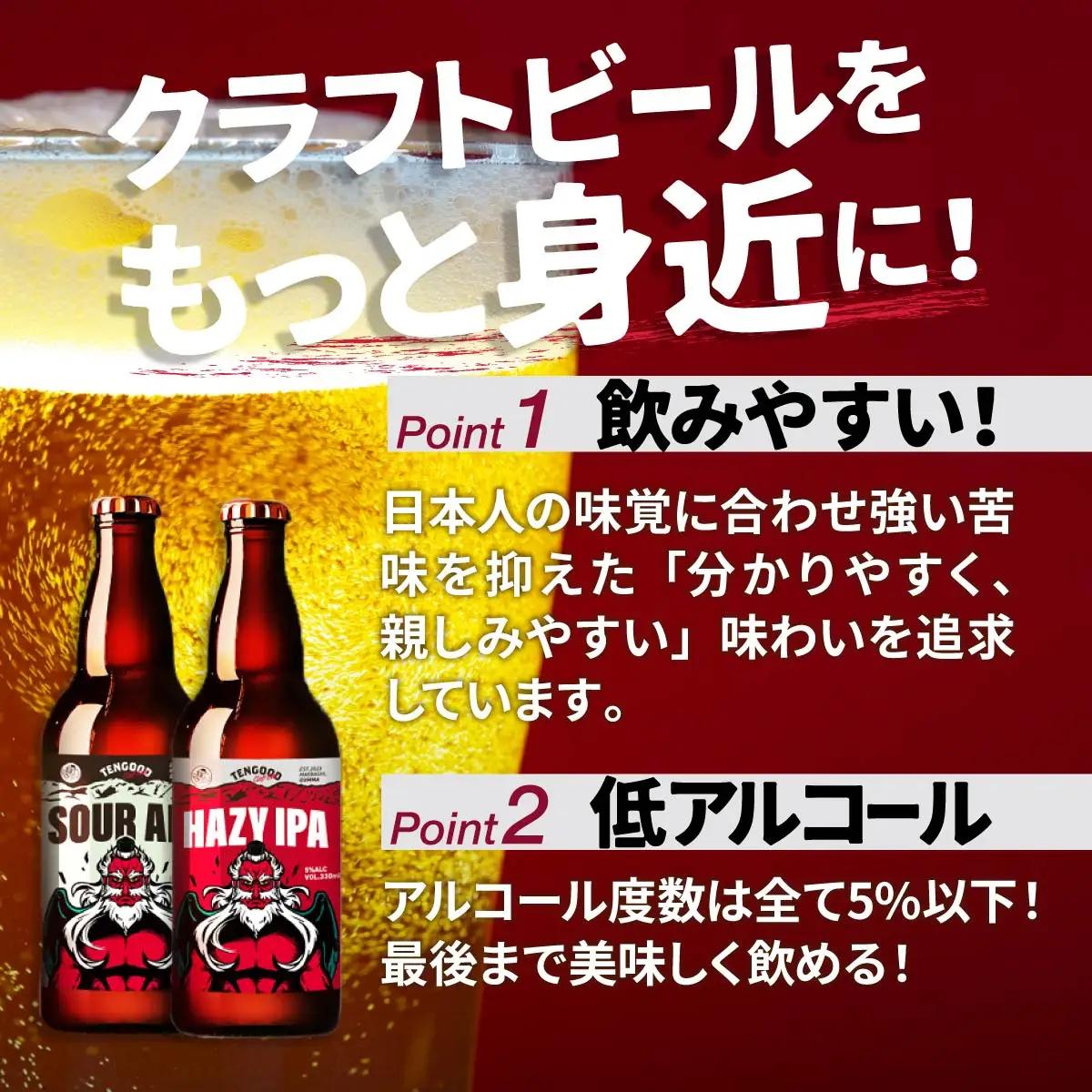 ビール テングビール HAZY IPA 6本