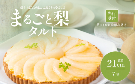  【先行受付】梨タルト 梨 タルトタルトタルト タルト タルト タルトタルト タルト