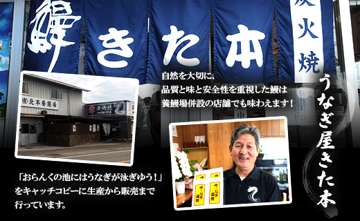 うなぎ蒲焼き 3尾(合計約360g)(無頭) - 送料無料 鰻 ウナギ 魚介 晩ご飯 夕飯 おかず おつまみ スタミナ 敬老の日 ギフト 贈答 贈り物 丑の日 うなぎ屋きた本 高知県 香南市 冷凍 u
