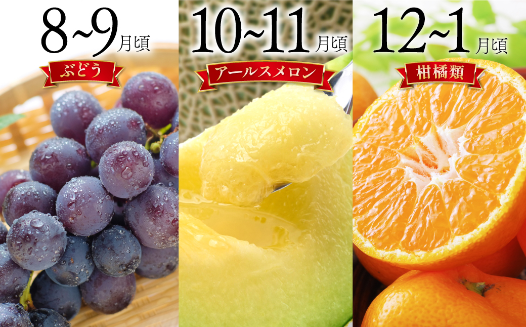 【6回定期便 Bコース】フルーツ定期便 旬のフルーツセット / いちご ビワ スイカ ぶどう アールスメロン 柑橘類 南島原市 / 長崎県農産品流通合同会社 [SCB066]