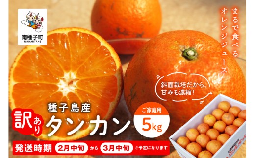 《 先行予約 》種子島産タンカン(ご家庭用) 5kg(24玉～36玉)【2027年2月中旬〜3月中旬頃順次発送】【訳あり】