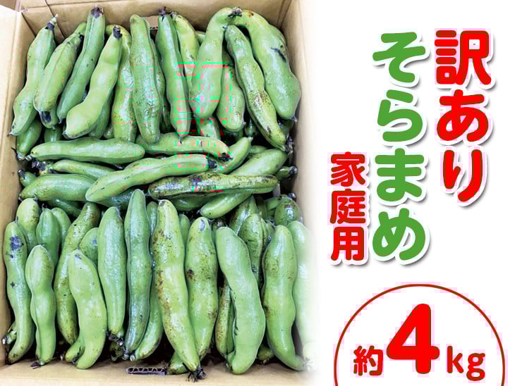 
            ＜先行予約！2026年5月上旬以降順次発送予定＞＜訳あり・家庭用＞そらまめ(約4kg) 【man103】【Aglio nero】
          