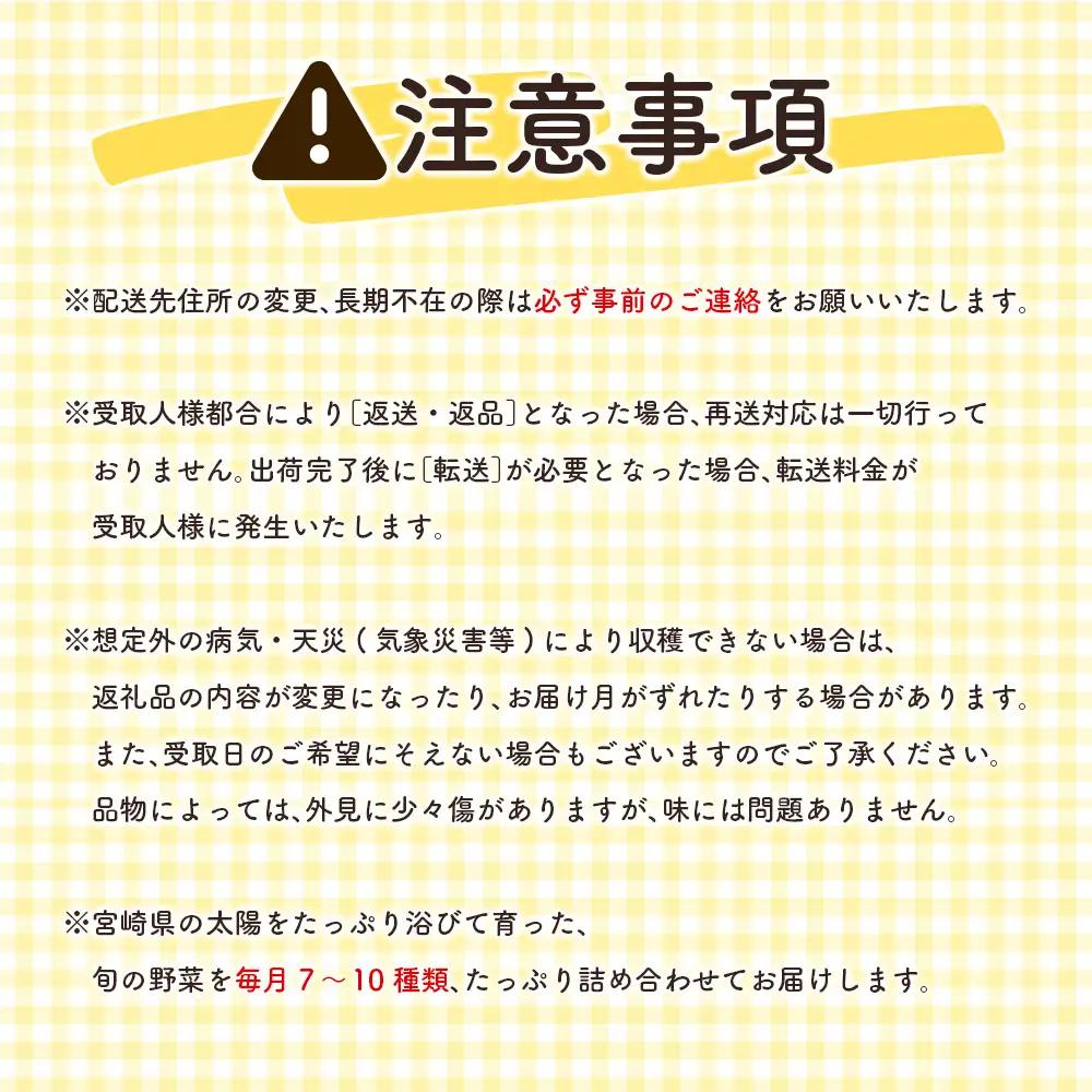【12か月】野菜定期便 2027年出荷 野菜セット G51-27