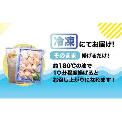 ふるさと納税 下関市 真ふぐ 唐揚げ 500g CF106 |  | 03
