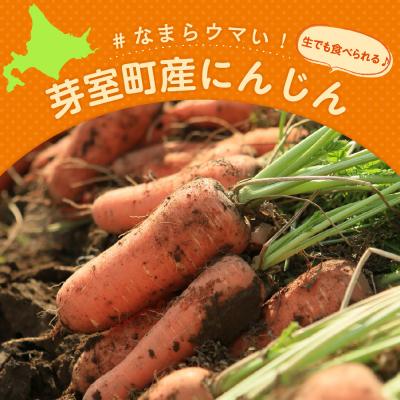 ふるさと納税 芽室町 【先行受付】【10月上旬より発送】北海道十勝芽室町 なまら十勝野 芽室町産にんじん5kg |  | 01