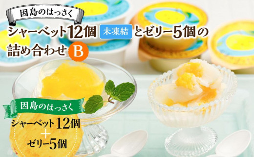 
                  因島のはっさくシャーベット(未凍結）とゼリーの詰め合わせB （シャーベット12個、ゼリー5個）【17個セット ひろしま銘菓 八朔 はっさくゼリー スウィーツ 菓子 贈り物 土産 広島県 尾道市】
                
