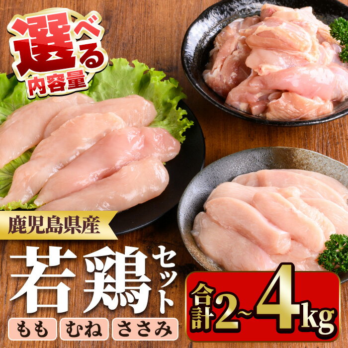 【ふるさと納税】≪内容量選べる！≫鹿児島県産若鶏セット(合計2～4kg・もも、むね、ささみ) 国産 九州産 鹿児島県産 鶏肉 鳥肉 鶏 とり 若鶏 冷凍 もも むね ささみ ササミ 筋なし セット 詰め合わせ 小分け 真空 【TRINITY】