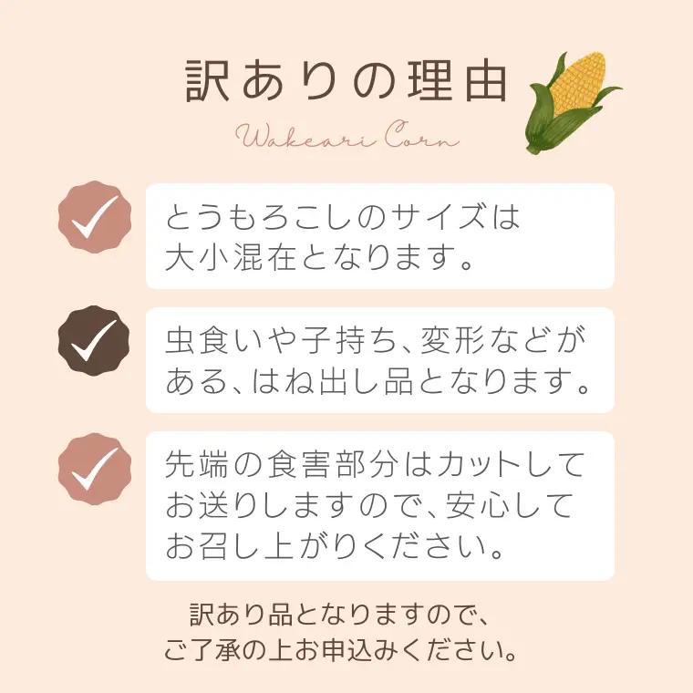 とうもろこし おおもの 6kg 訳あり 農家直送 朝採り【 先行予約2027年7月中旬発送】