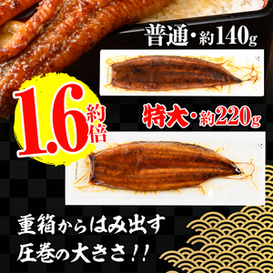 i1172-B ＜定期便・計3回(隔月)＞＼特大サイズ／鹿児島県産 うなぎ蒲焼 2尾セット＜（約220g×2・計約440g）×全3回＞ 定期便 たれ 山椒付きうなぎ 鰻 ウナギ 特大 特大サイズ 約2