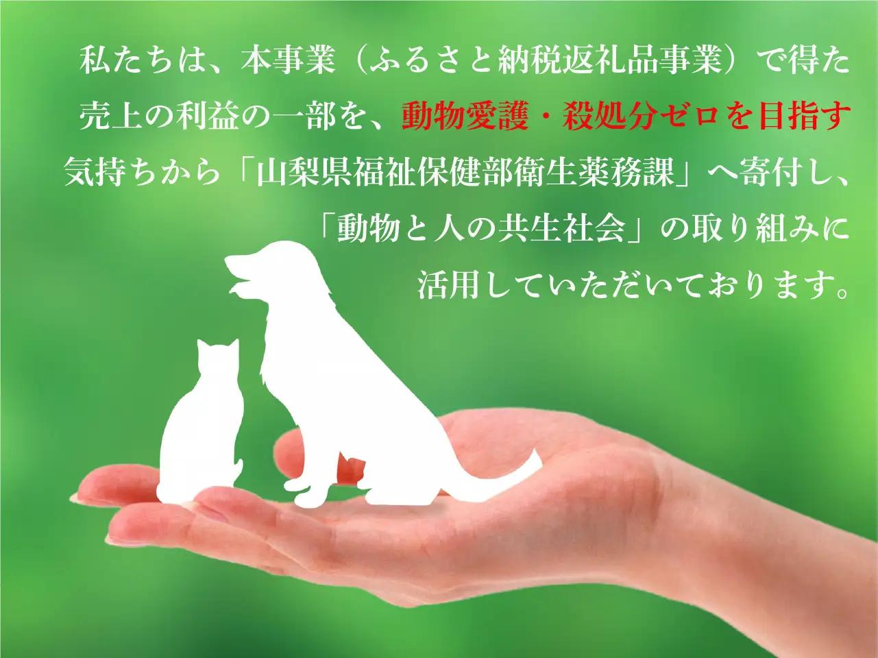 桃 約3kg（7～12玉入）【厳選数量限定】山梨県甲州市産 産地直送【2026年発送】（ORJ）B18-801 桃 フルーツ