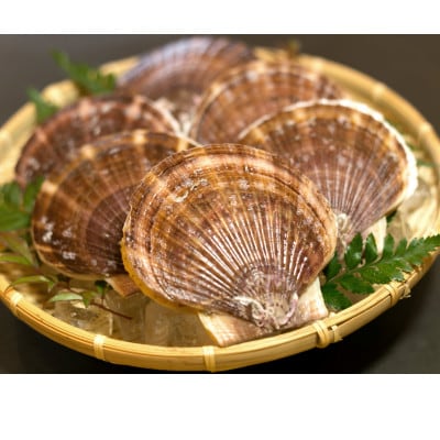 【数量限定～12/31まで受付!】岩手 野田村 荒海ホタテ 1kg(8～10枚入り)殻付き ヘラ付き【配送不可地域：離島・北海道・沖縄県・関東・信越、北陸・東海・近畿・中国・四国・九州】