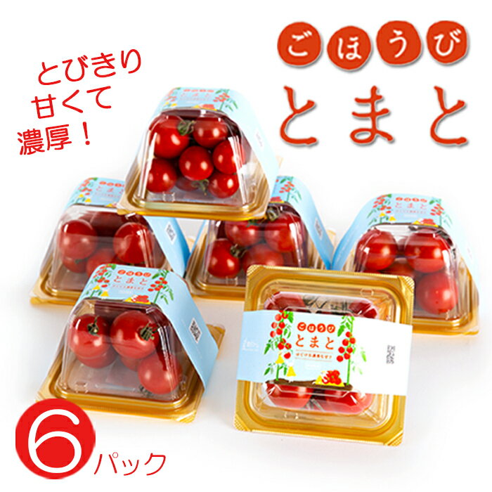 【ふるさと納税】 予約受付 11月 以降発送 トマト 高糖度 甘い 6パック 小分け フルーツトマト ミニトマト 野菜 果物 産地直送 とれたて 濃厚 アンチエイジング 生活習慣病予防 ごほうびとまと 株式会社風の子ファーム 埼玉県 羽生市