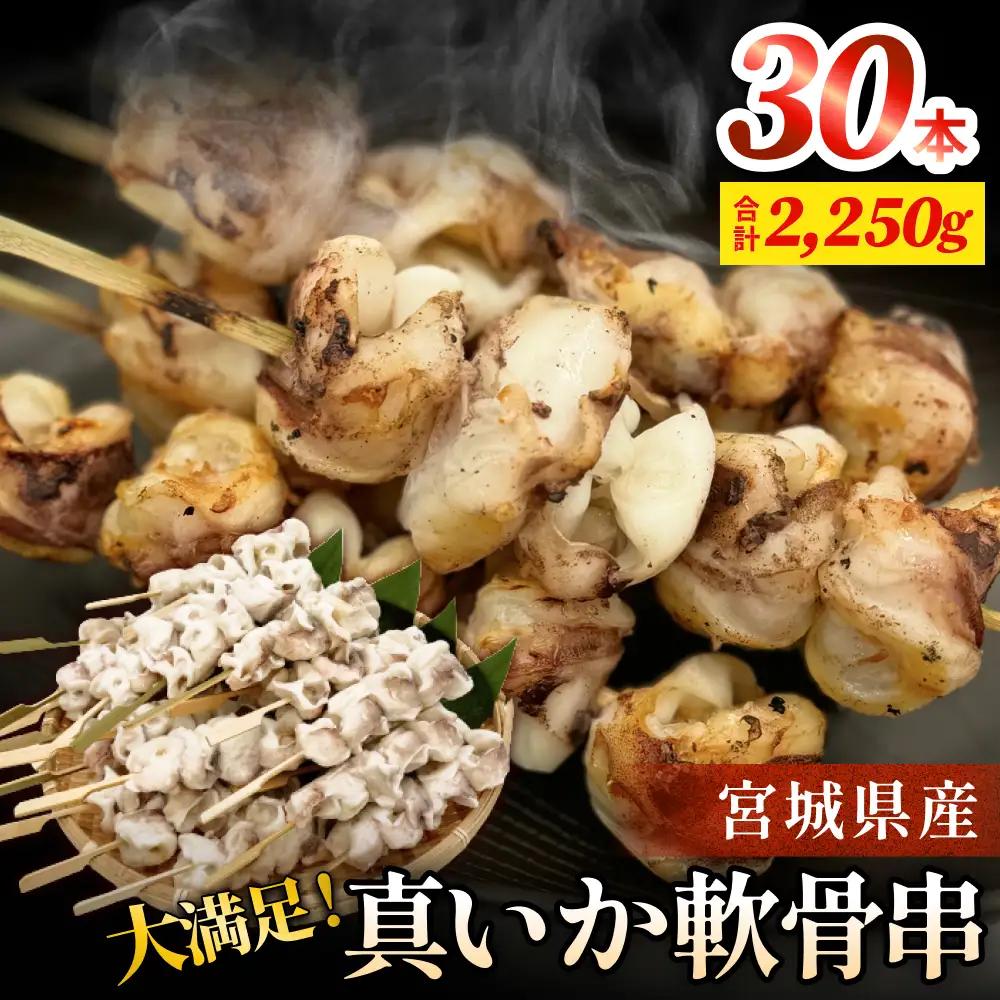 宮城県産真いか軟骨串（3０本入り） イカ バーベキュー BBQ
