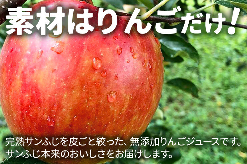 【先行受付 12月上旬より発送】《定期便3ヶ月》無添加りんごジュース（サンふじ）20パック [先行予約 秋田県 五十嵐果樹園 りんごジュース 無添加 りんご リンゴ 林檎 ストレート 無添加 果汁100%]