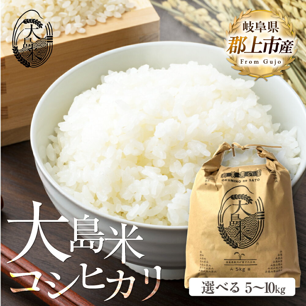 【ふるさと納税】「精米」大島米5kg 令和7年産 内容量が選べる / 食品 米 精米 白米 お米 コメ こめ 米 15000円 29000円