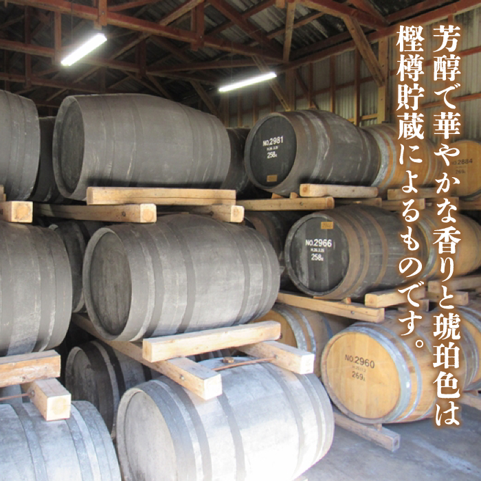 【全12回定期便】壱岐スーパーゴールド22度とルート382 [JDB248] 168000 168000円