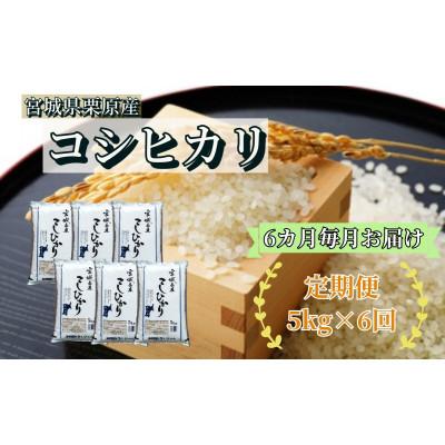 ふるさと納税 栗原市 【毎月定期便】コシヒカリ白米5kg 宮城県栗原産全6回