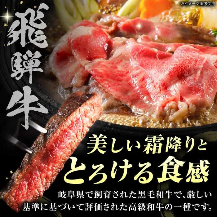 【6回定期】特選飛騨牛ステーキ&すきやき用1kgセット[AVAG012] 飛騨牛 ステーキ