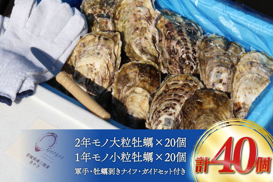 【期間限定発送】 殻付き 牡蠣 計40個 2種(三陸ジオイスター ＆ OMAKI ) 食べ比べ セット 各20個 牡蠣ナイフ付 [Geoyst 宮城県 南三陸町] かき カキ オイスター 生牡蠣 真牡蠣 FAK-0335