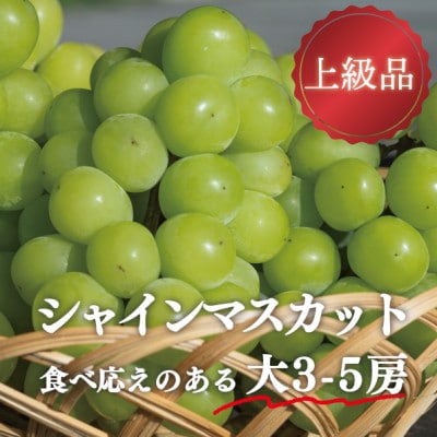 【きよとうファーム】シャインマスカット 上級品 大3−5房/計2.4kg~(岡山県産)【配送不可地域：離島】【1548983】