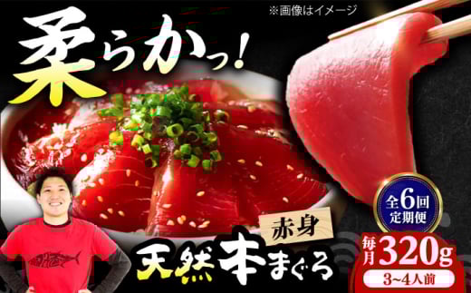 【全6回定期便】極上！たね熟天然本まぐろ赤身(320g) 天然 マグロ 鮪 赤身 刺身 魚 魚介 魚介類 海鮮丼 本マグロ 本まぐろ 本鮪 赤身 大トロ 冷凍 お刺身 お寿司 大阪府高槻市/本まぐろ直売所 [AOCE014] 本マグロ 寿司 海鮮 旨み 脂のり 切り身 鮮度抜群 海鮮丼 お取り寄せ 高級魚 ギフト 贈答用 海の幸 家飲み ごちそう おつまみ 炙り丼 手巻き寿司 お祝い パーティー