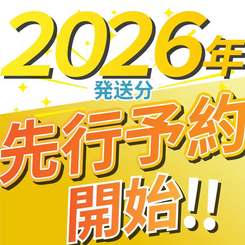 【2026年先行予約】にっこり 梨 5kg【栃木県共通返礼品】P0 栃木県 下野市