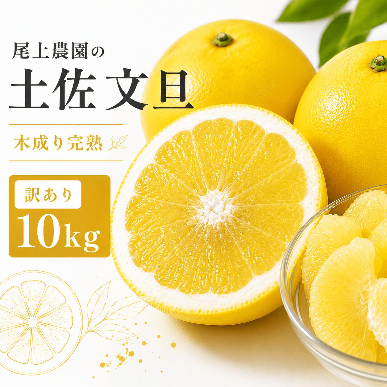 【ふるさと納税】 訳あり 土佐文旦 10kg 11000円 完熟 みかん 蜜柑 柑橘 かんきつ ぶんたん mikan 家庭用 期間限定 数量限定 不揃い サイズミックス フルーツ ブンタン 果物 くだもの 果肉 果汁 お取り寄せ 産地直送 農園直送 国産 特産品 愛媛県 愛南町 尾上農園