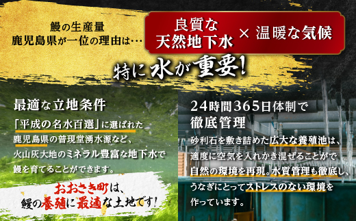 鹿児島県産うなぎ長蒲焼4尾