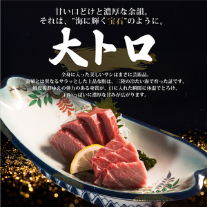 【スピード発送】 訳あり 天然本まぐろ 赤身中トロ大トロセット800g まぐろ