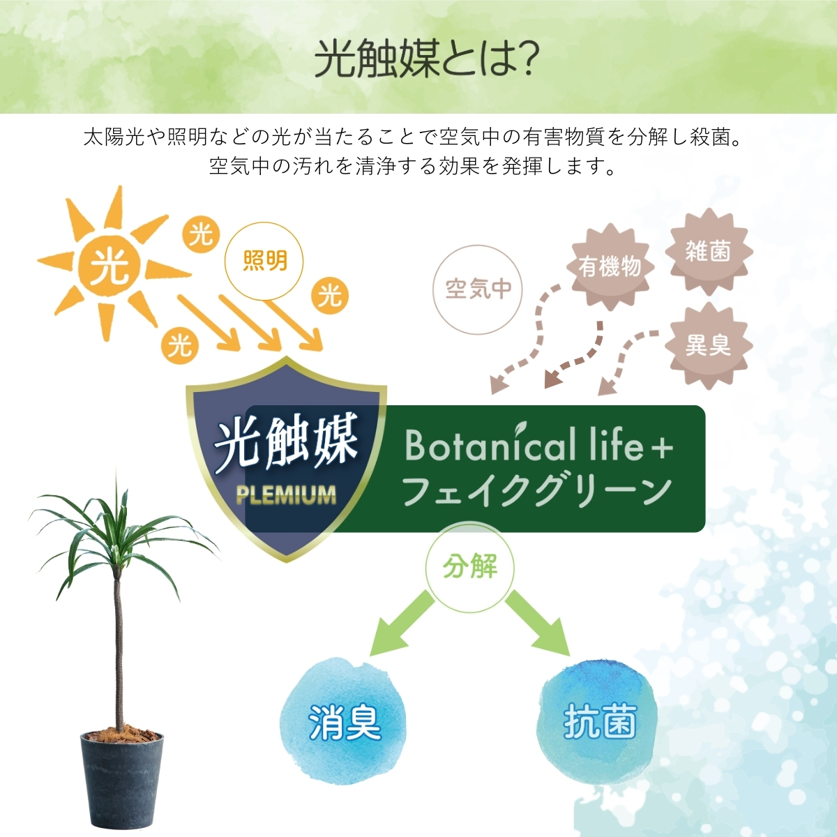 フェイクグリーン Botanical life+ Dシリーズ ドラセナ 110cm 光触媒加工 鉢付き （鉢： ナチュラルカラー グレー ） インテリア 抗菌 消臭 愛知県 豊橋市 送料無料 4100