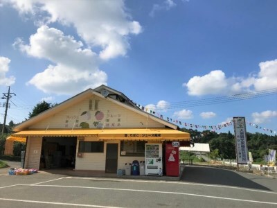 大原観光果樹園 シャインマスカット1房とクイーンニーナ1房（計2房） 約1.5kg 【先行予約 10月中旬から順次発送】