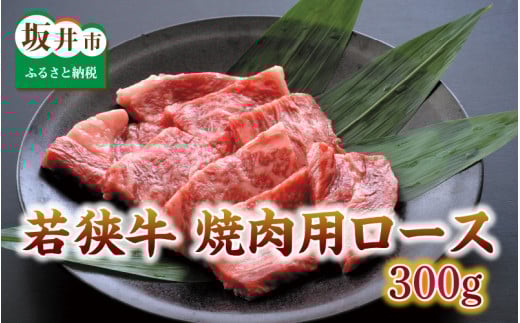 とろける若狭牛ロース 300g 【焼肉・ステーキ用】 [B-2102]