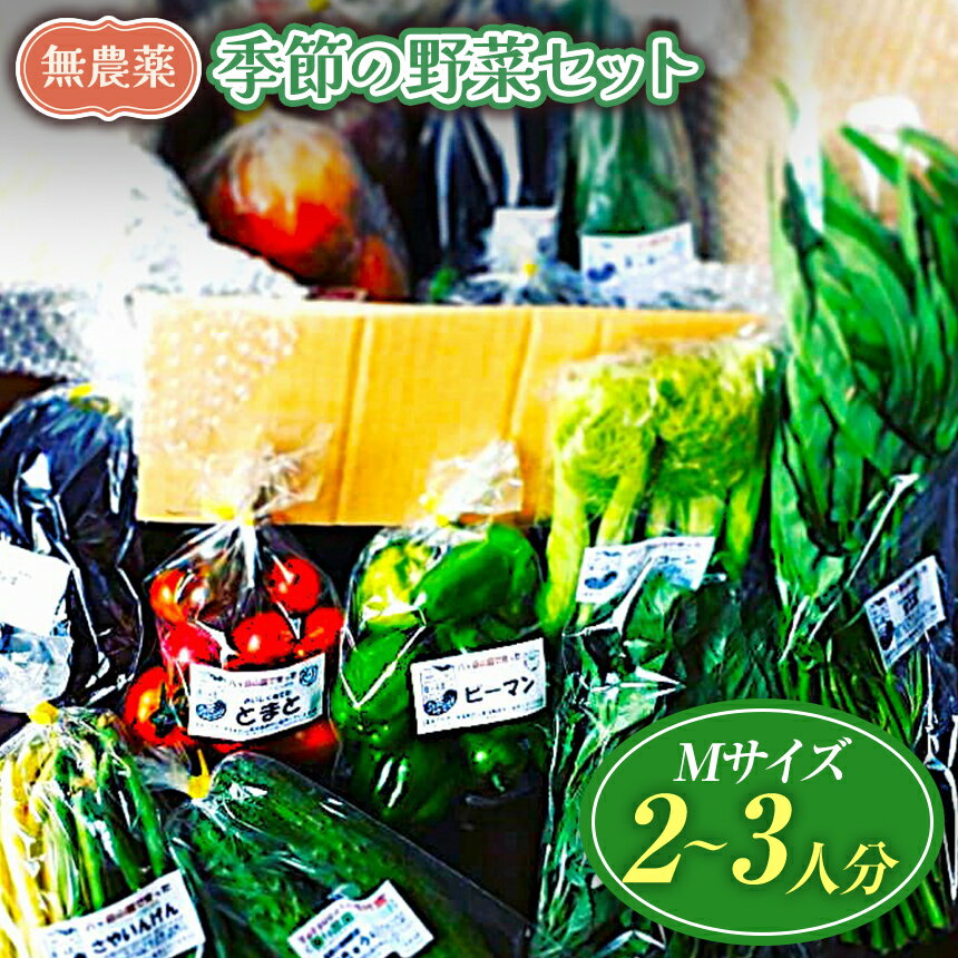 【ふるさと納税】【栽培期間中農薬不使用・無化学肥料・無家畜性肥料で育てた】 季節の 野菜セット ( Mサイズ )【2026年8月上旬～発送】| 旬 野菜 10種類前後 2～3人分 セット シードマイスター 農薬不使用 無化学肥料 無家畜性肥料 信州 八ヶ岳 長野県 諏訪郡 原村
