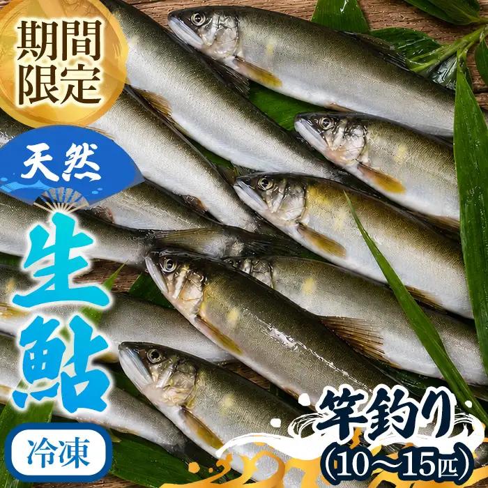 由良川 天然生鮎 冷凍 竿釣り10～15匹 由良川漁業組合