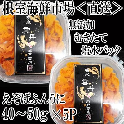 ふるさと納税 根室市 エゾバフンウニ(赤系)塩水パック40〜50g×5P[2026年1月中旬以降発送] C-28052