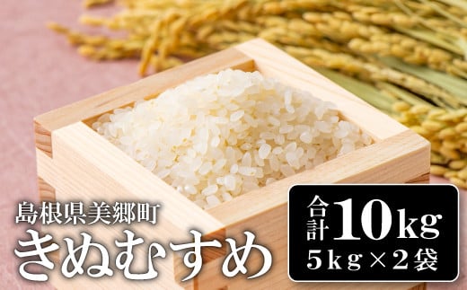 美郷町産きぬむすめ 10kg【お米 10kg 5kg×2袋 精米 白米 ブランド米 米 きぬむすめ お米】