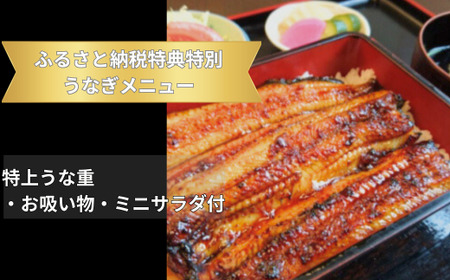 【桑名屋】「龍ケ崎市」で食べるうなぎ料理「うなぎ街道お食事券」| うなぎ ウナギ 鰻
