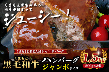 【 年内お届け 】ビッグサイズ！くまもと 黒毛和牛 DREAMジャンボバーグ 500g×3パック 計1.5g 《 牛肉 100％ 国産 大 ボリューム 生 ハンバーグ お祝い パーティ 熊本 ブランド