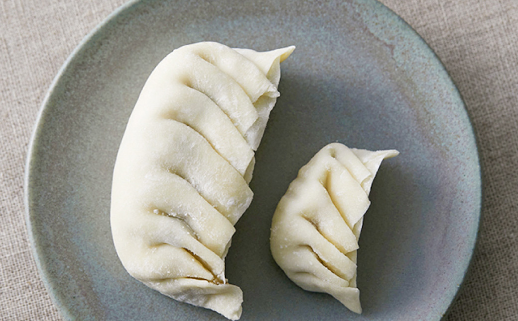 吉祥寺篭蔵のひとくち餃子 12個入り 8パック