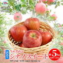 【ふるさと納税】【訳あり】生産者直送 シナノスイート 約5kg（約10～23玉）《信州須坂後藤農園》■2024年発送■※10月下旬頃～12月上旬頃まで順次発送予定 果物 フルーツ 林檎 リンゴ りんご