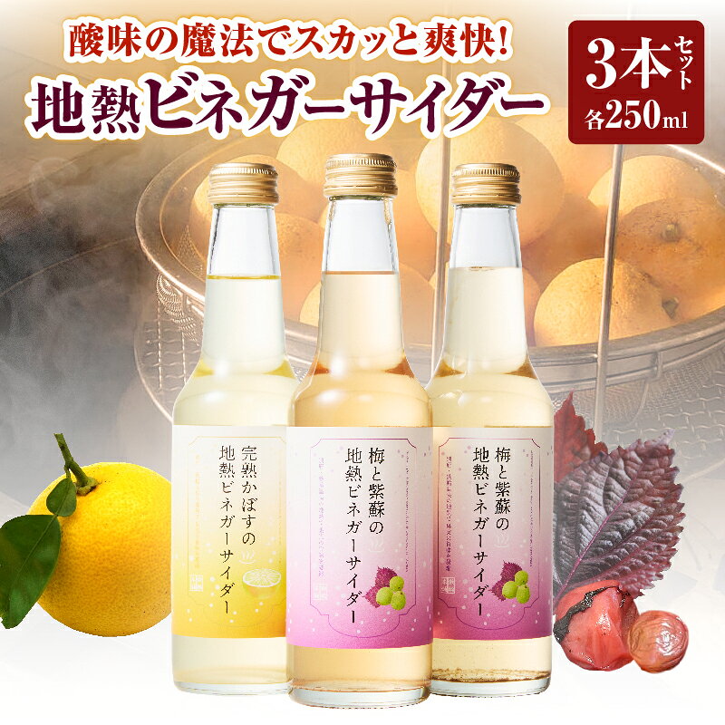 【ふるさと納税】地熱 ビネガー サイダーセット 3本 完熟かぼす カボス 梅 紫蘇 酎ハイ ハイボール ビネガービール りんご酢 果実酢 熟成 酸味 甘味 清涼感 飲み比べ 贈答品 プレゼント 鉄輪本舗 地獄蒸し 温泉水 お土産 ご当地 人気 おすすめ 別府 大分県 送料無料