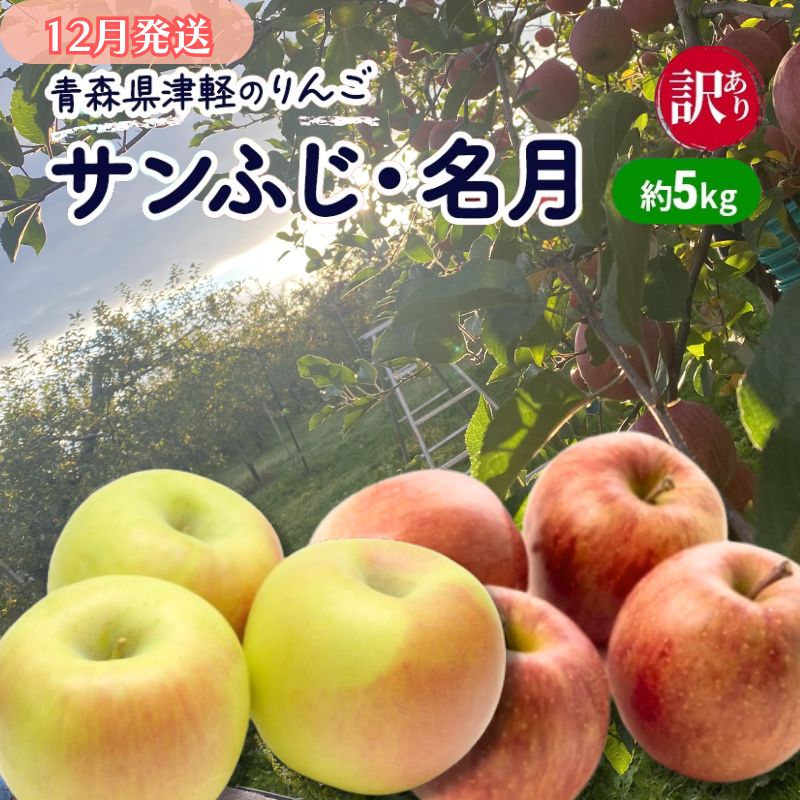 【ふるさと納税】【12月発送】【訳あり】青森県津軽のりんご「サンふじ・名月」約5kg【里いちみfarm】 　お届け：2025年12月1日～2025年12月25日