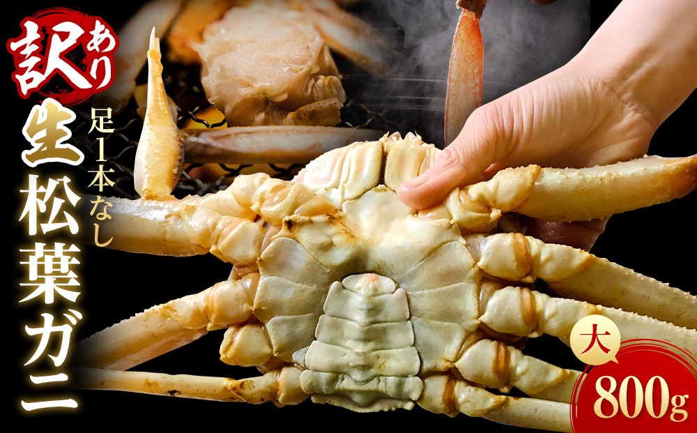 
                  【魚倉】足１本なし生松葉ガニ(大800ｇ)訳あり｜国産 訳あり ズワイガニ 松葉ガニ カニ 蟹 かに 生 カニ鍋 かに鍋 鍋 かにしゃぶ かにみそ 期間限定 送料無料 鳥取県 三朝町
                