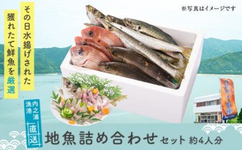 魚屋さんの選んだ新鮮お魚詰め合わせ（約4人分）