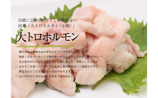 【 訳あり 】 国産牛 大トロホルモン にんにく味噌味 500g （100gパック） 小分け ニンニク ガーリック 味噌味 ホルモン 焼き 焼肉 味付 小分け 冷凍 味噌だれ 不揃い 焼き肉 炒め物 