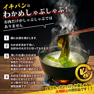 先行予約 早採り生わかめ 1.6kg(200g×8) わかめ