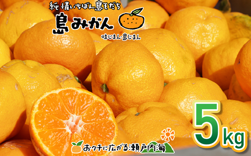 【11月下旬頃から発送予定】温州みかん 5kg 愛媛 中島産 希望の島 家庭用 みかん 柑橘